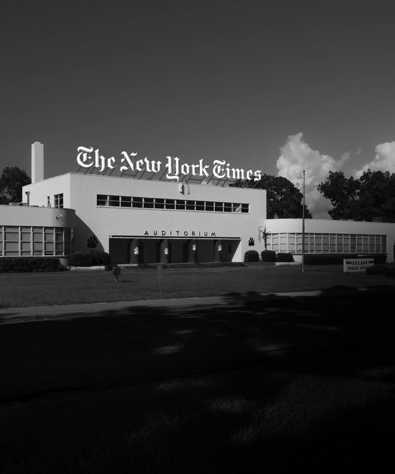 Visc 202 New York Times Cover Design Illustrator, Indesign, Photoshop