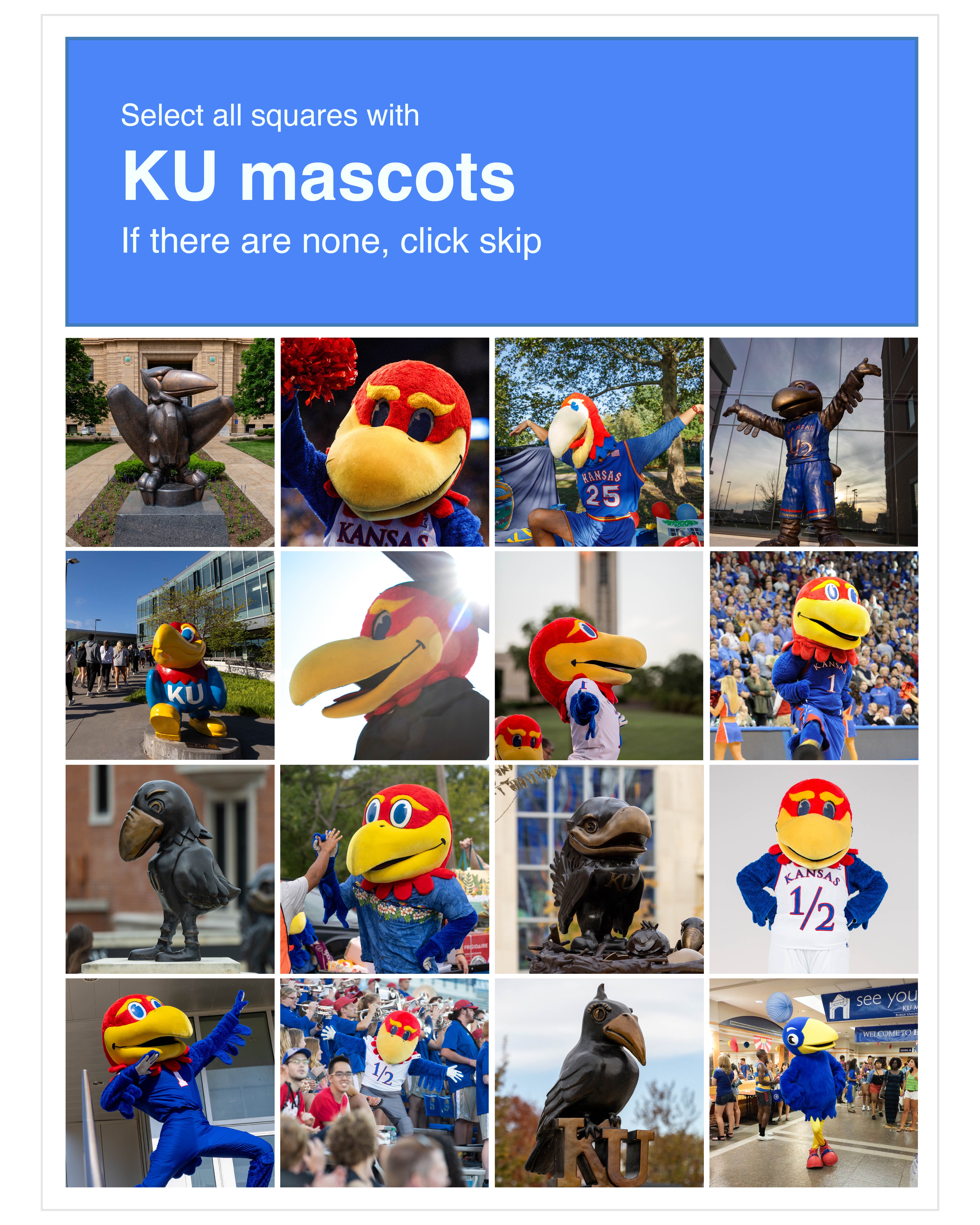  KU Marketing  Illustrator - March 11, 2025